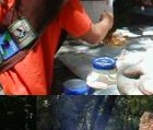 Photos of Brownies learning camping skills